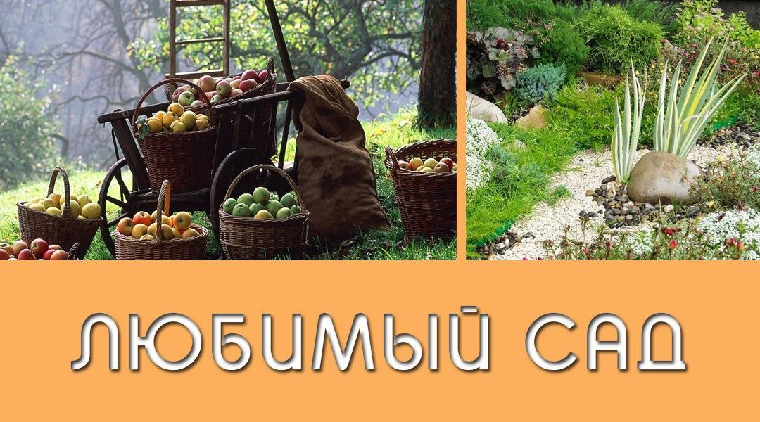 Любимый сад нимфоманки